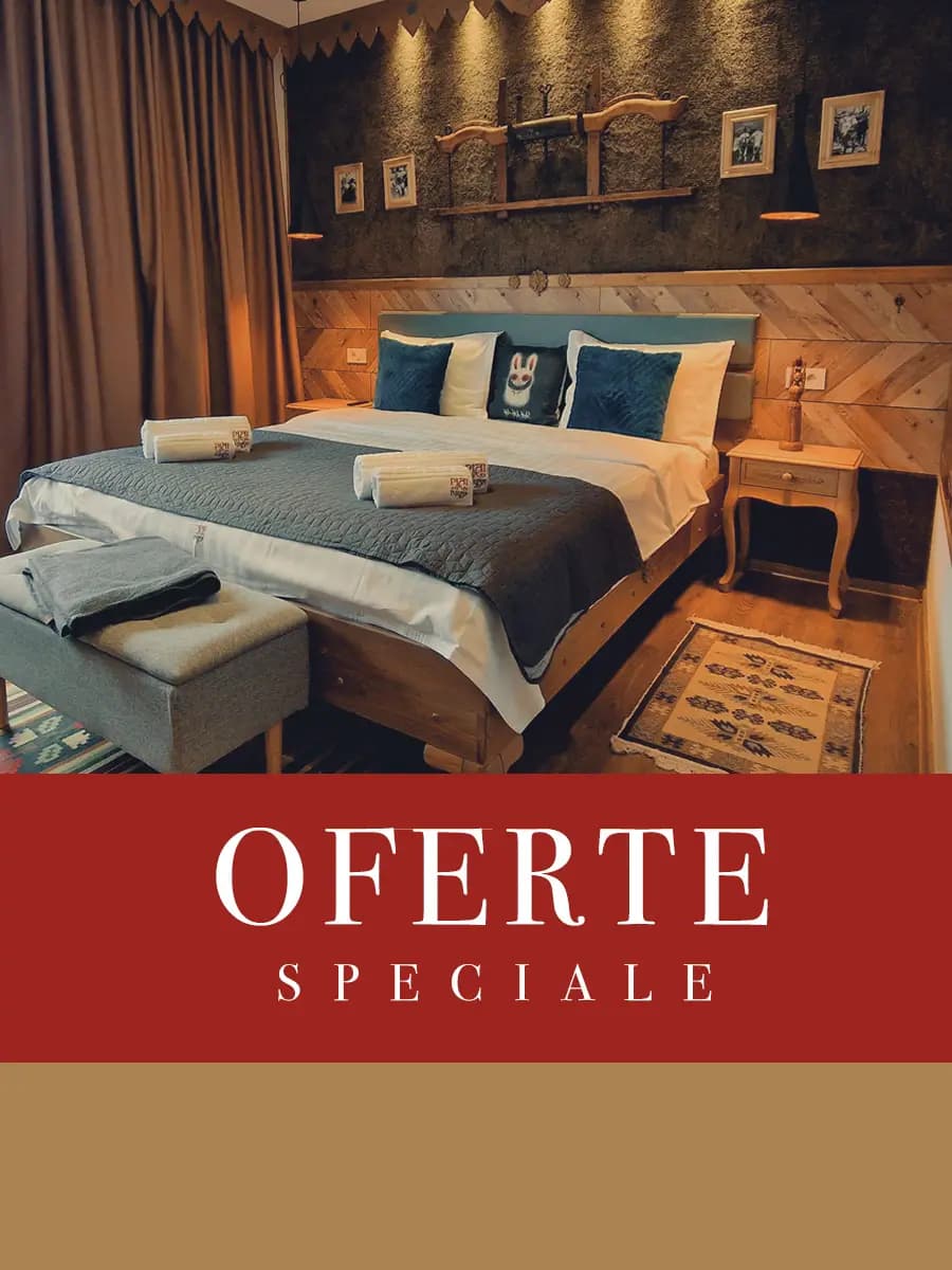 Oferte Thumbnail