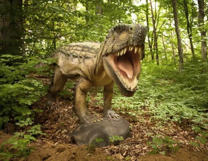 DinoPark Râșnov Thumbnail
